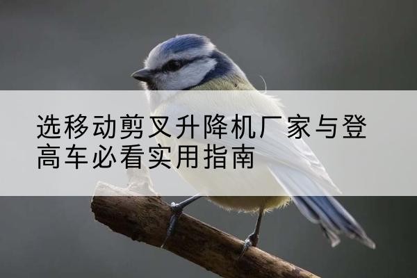 灯塔电动升降机厂家-选移动剪叉升降机厂家与登高车必看实用指南