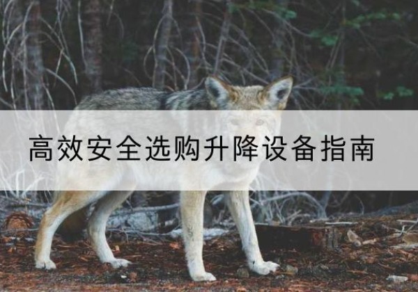 灯塔升降货梯厂家推荐-*安全选购升降设备指南