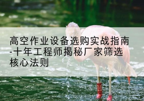 灯塔剪叉式升降机厂家-高空作业设备选购实战指南-十年工程师揭秘厂家筛选核心法则